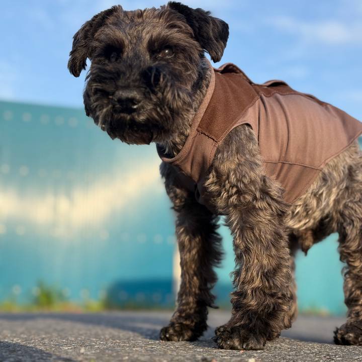 0cb590b5 63b3 413e a587 dd04a4f07fc6 1743930152907