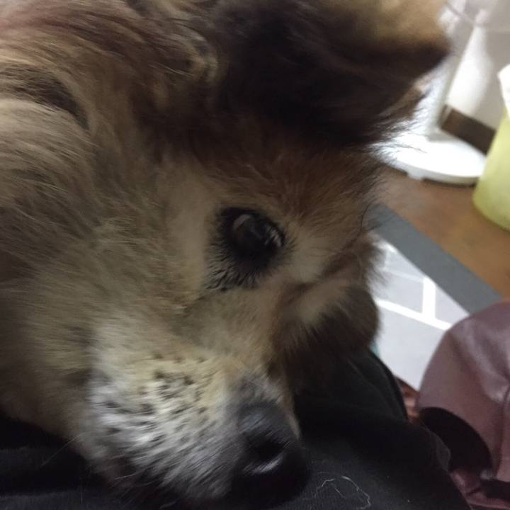 0cb5cf77 bfae 4989 90b3 b12a66d51731 1550651242960