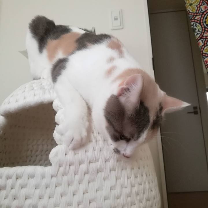 0cb5de01 9fdb 4e73 b536 0a064d748496 1536458371995