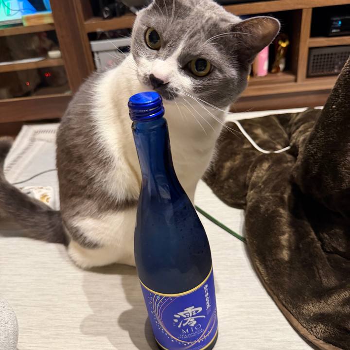 0cb609c2 990e 4afc 8a33 4c65e386933f 1766317511974