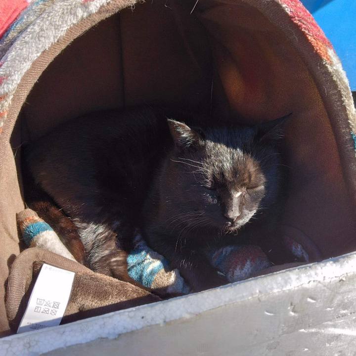 0cb60b07 874b 4cec 9766 2063c60b13cb 1671534502641