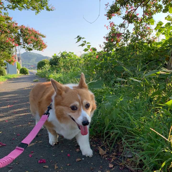 0cb61314 6d03 41d5 a4a2 830982e810da 1690752554577