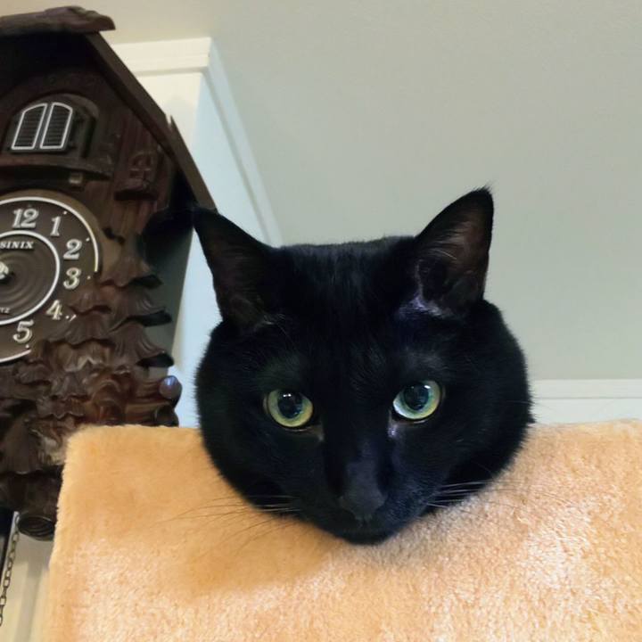 0cb6309c 528c 470c 8708 7875f82030a5 1758718333504