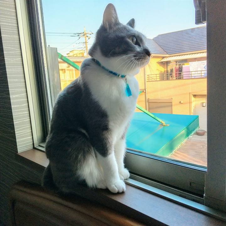 0cb65e03 492e 4d74 961a b04f758dab38 1637361981712