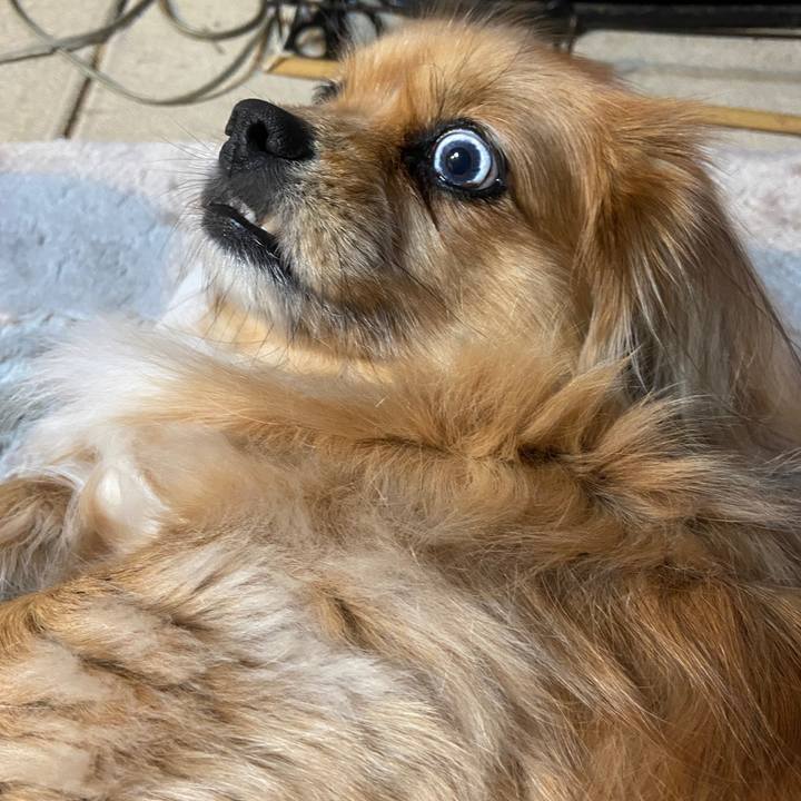 0cb681ba 9102 4996 b28d 7180a5414938 1645652037351