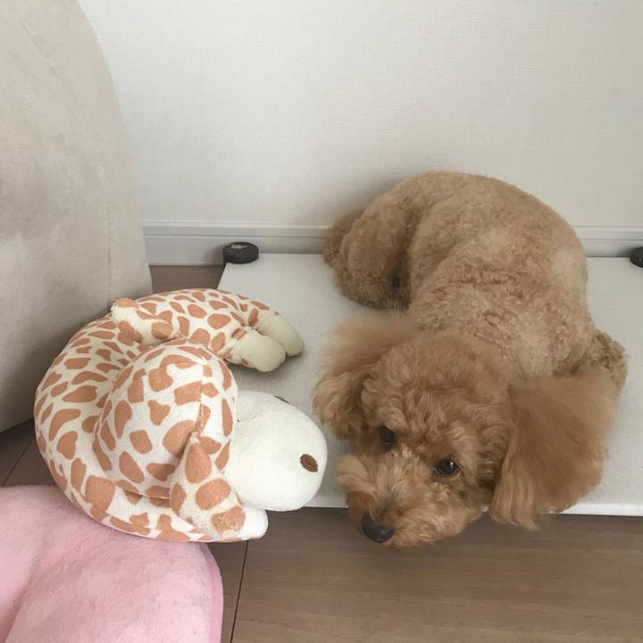 0cb6924f 180f 431b af41 0a40b3f88d7e 1531892858631