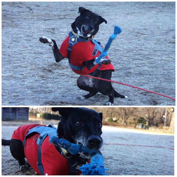 0cb69850 a432 46ac 81b3 06d7a20ff99c 1703898764531