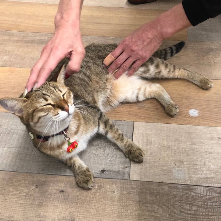 0cb6a721 e3f4 4c46 990f 8f1fcb19e62b 1664529586325