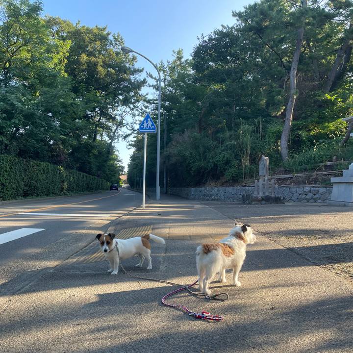 0cb6aa10 658c 4312 848b 342ffbccaab5 1725404932072