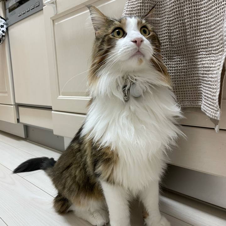 0cb6ede7 19d2 4993 a8b5 611c407d2163 1669317967425