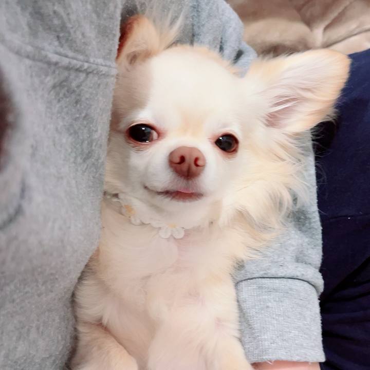 0cb70763 aa6e 4811 99d0 d5312df01daf 1712061269573