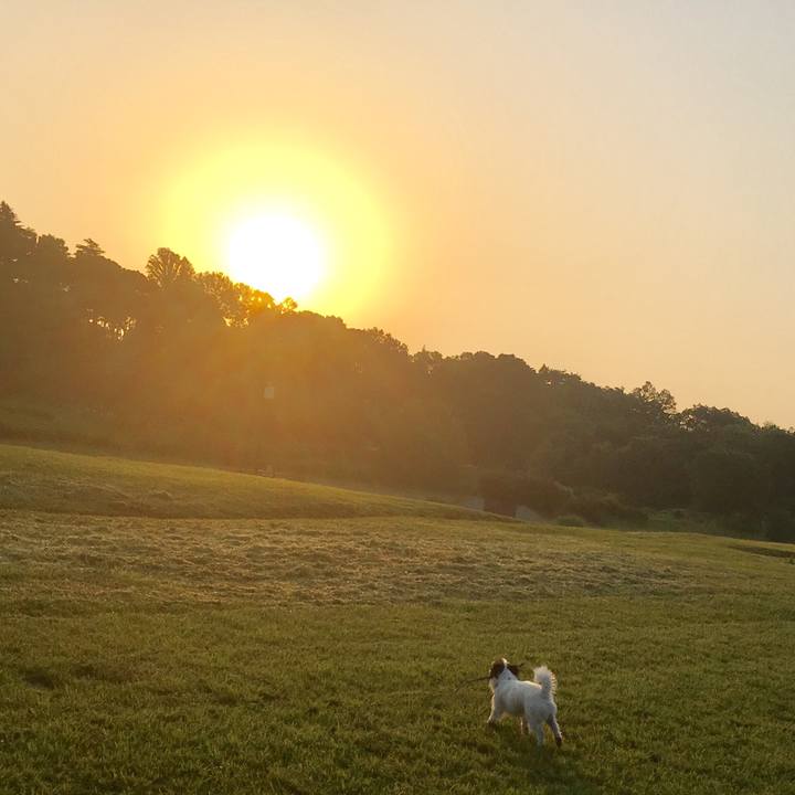 0cb74568 f23f 4667 b0ee f1ded580c3bc 1533908882651