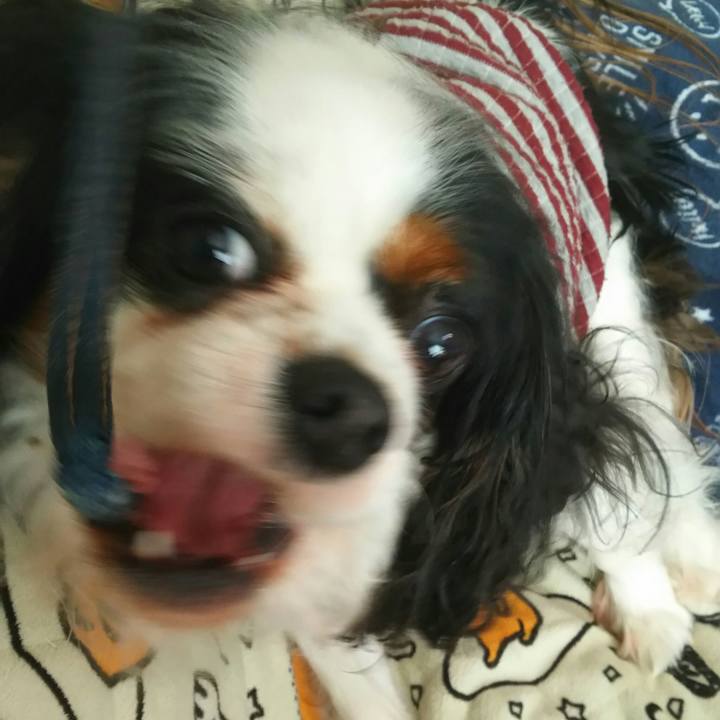 0cb74ae8 477d 4f24 96cc 5902ae26c068 1517028821633