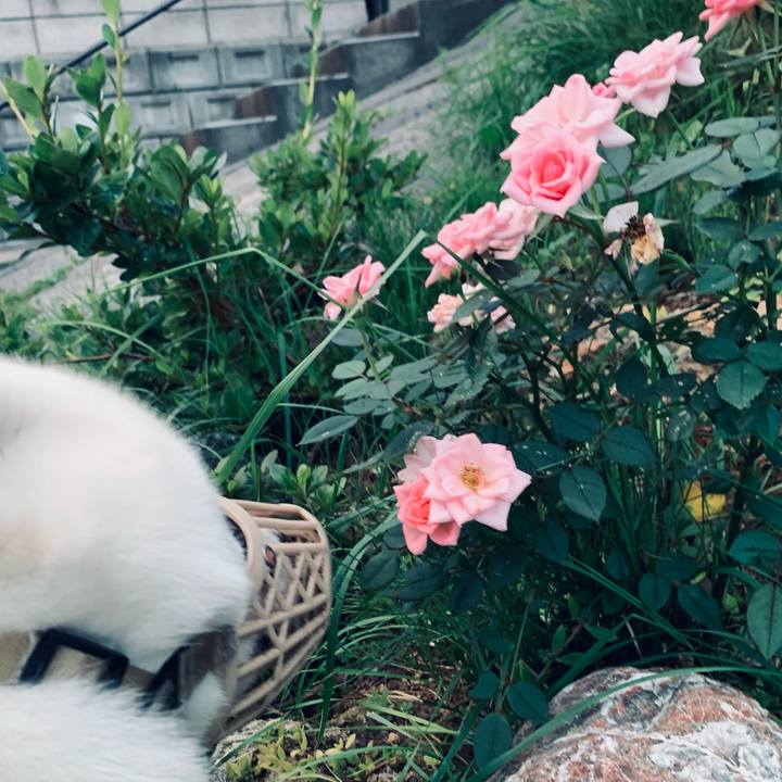 0cb74fa5 07ff 4cd5 bcc8 91dc03e18ebc 1661286514521