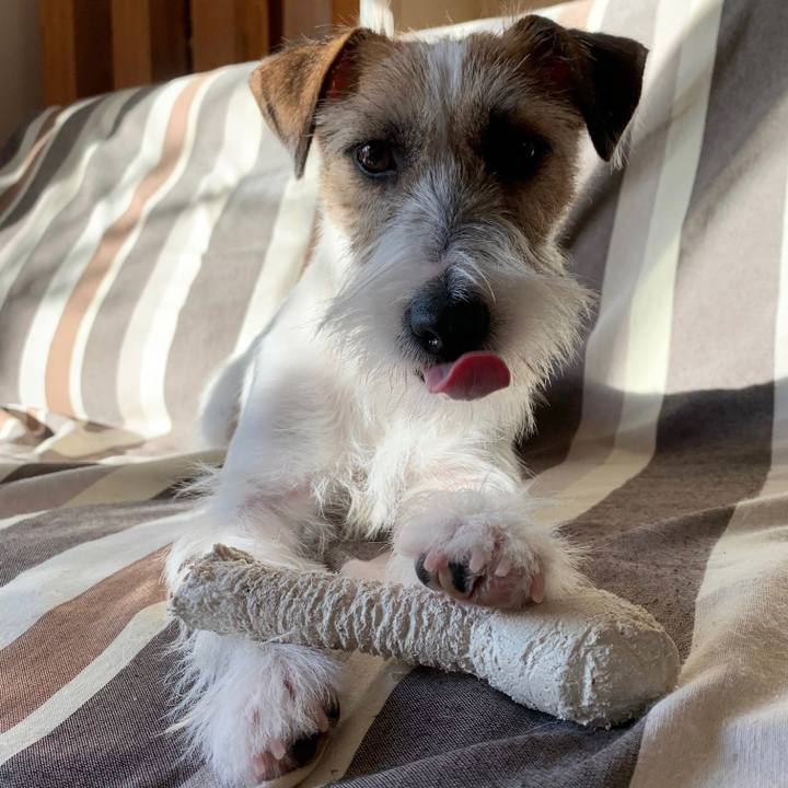 0cb77111 30fb 4a1f 8f56 a1ee5b9cf04b 1577854862934