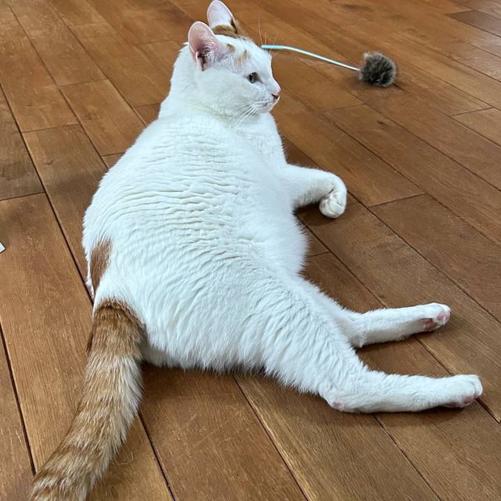 0cb7a79d b12f 479e b555 62a17a47d2bc 1679094437021