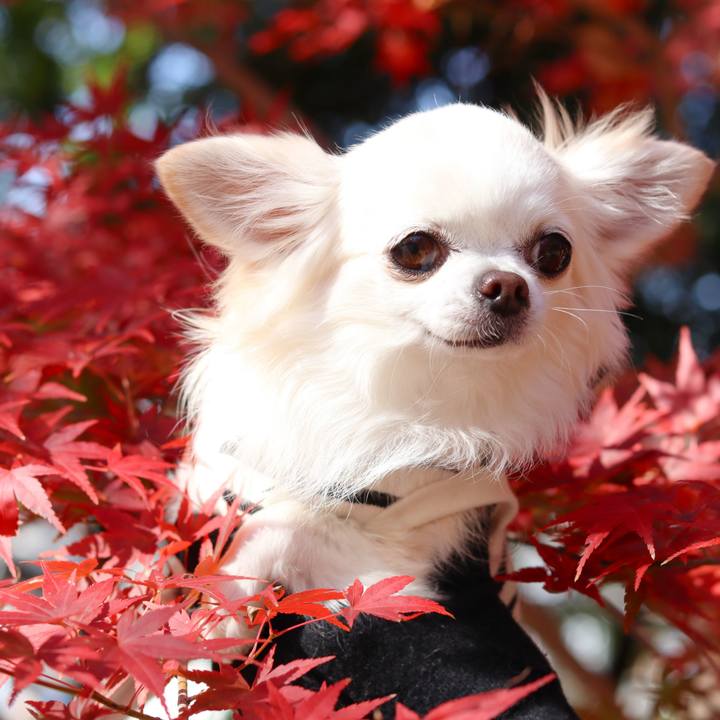 0cb7b6f5 0cd0 484d a22d 6339eec1e4aa 1764285083911