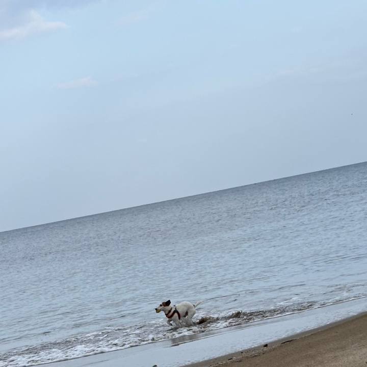 0cb7b9da 77f1 4240 ab79 9f36ff7c18e5 1768546674360