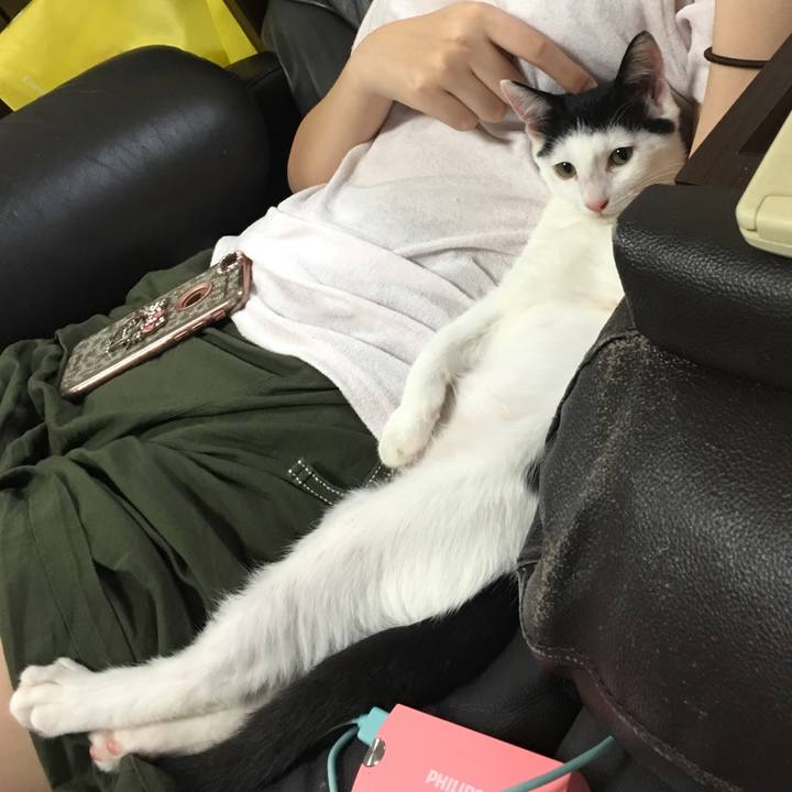 0cb7cab6 18d2 419c b472 4280b91dce37 1534626657779