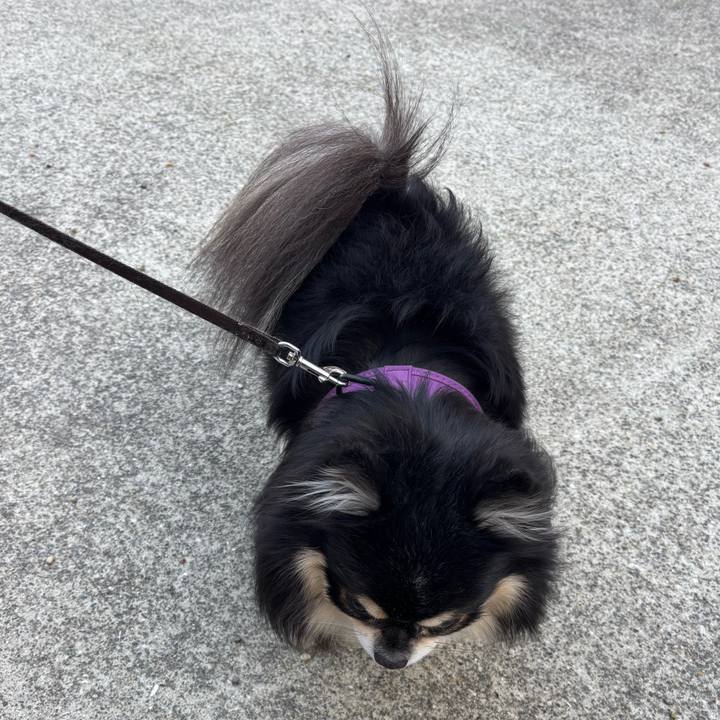 0cb7d949 9f24 49a0 a89f ade2d401530a 1766983962773