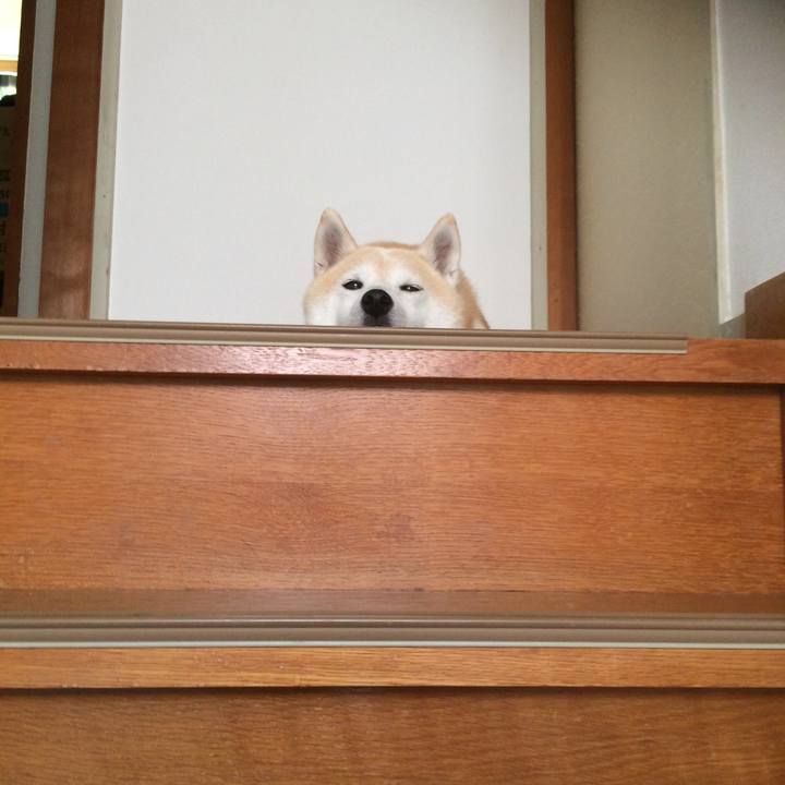 0cb817b1 eca9 47b0 af91 c108b0cee2dd 1763967233330