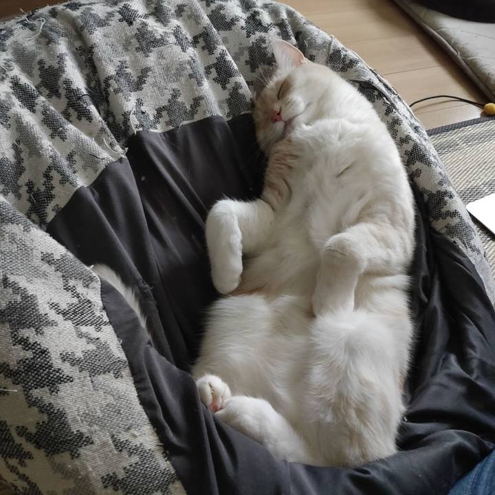 0cb817b7 a046 4ba9 98dc 5d6e09693177 1658904507293