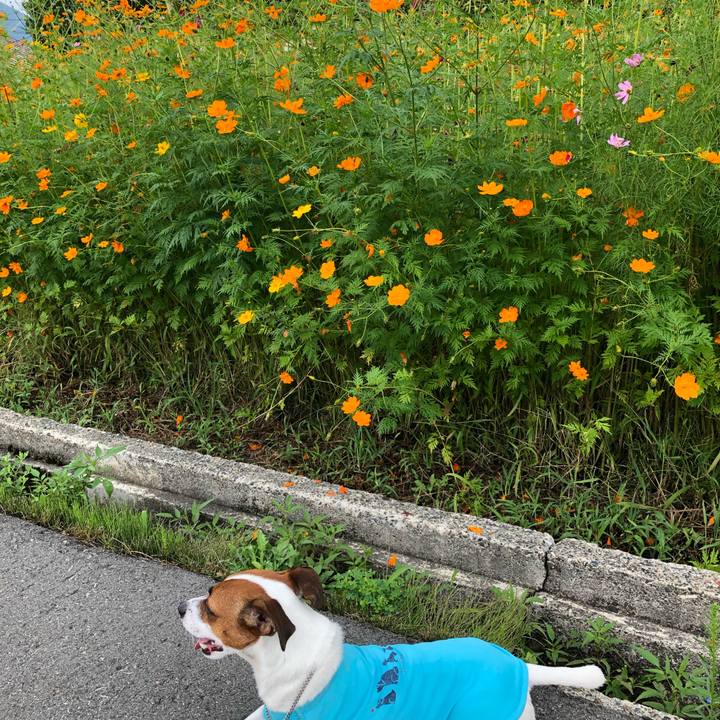 0cb81fd5 4dec 4ae7 8c9a 8d383f7a0fae 1566533100767