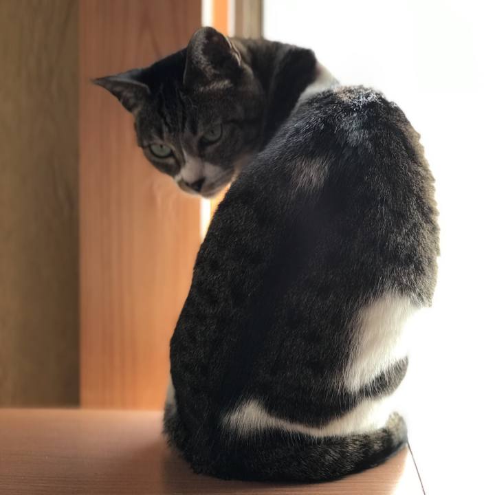 0cb82c2f 268a 4a89 8bc4 190f2f57c23f 1518054208785