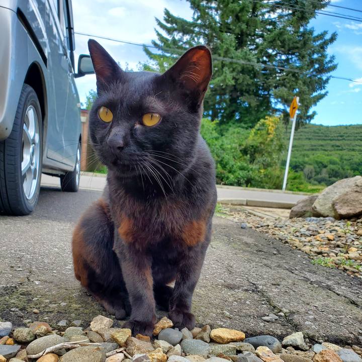 0cb89908 da20 4313 8eb4 b26038982d13 1694527263370