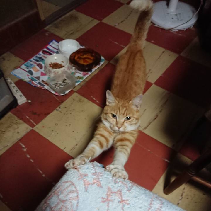 0cb8a91a e964 403f ba07 a84c78409f7a 1593372910649