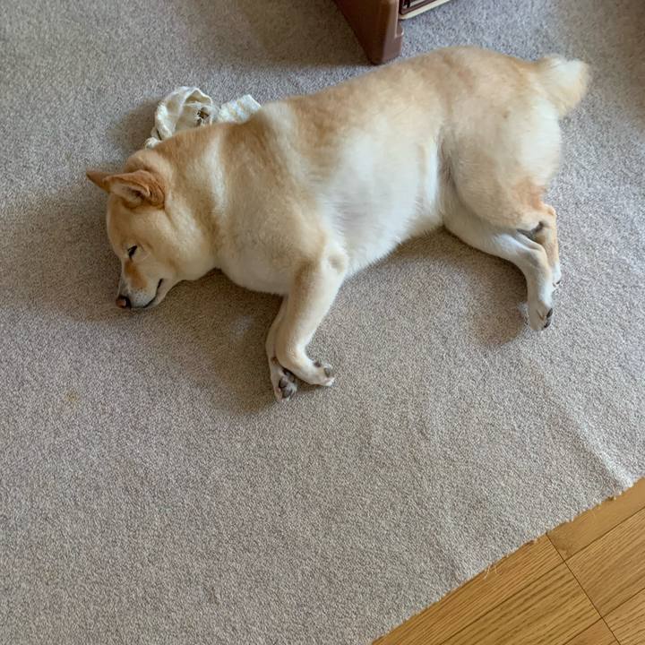 0cb8b240 c856 45fb a252 19ca5f248745 1627015586071