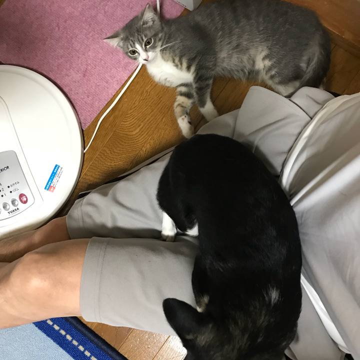 0cb8b4c9 9df7 42ad 85e1 8f74725c3709 1530880773013