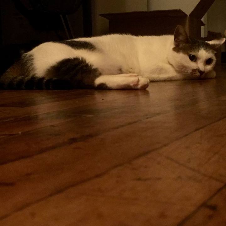 0cb8bfd4 0f0a 49a7 81e4 b04944e2965c 1565004410177