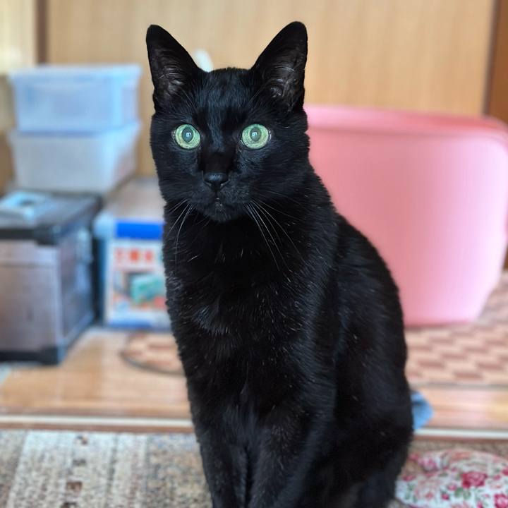 0cb8ce15 48b4 4c35 893f 93e005a92f19 1684546650835