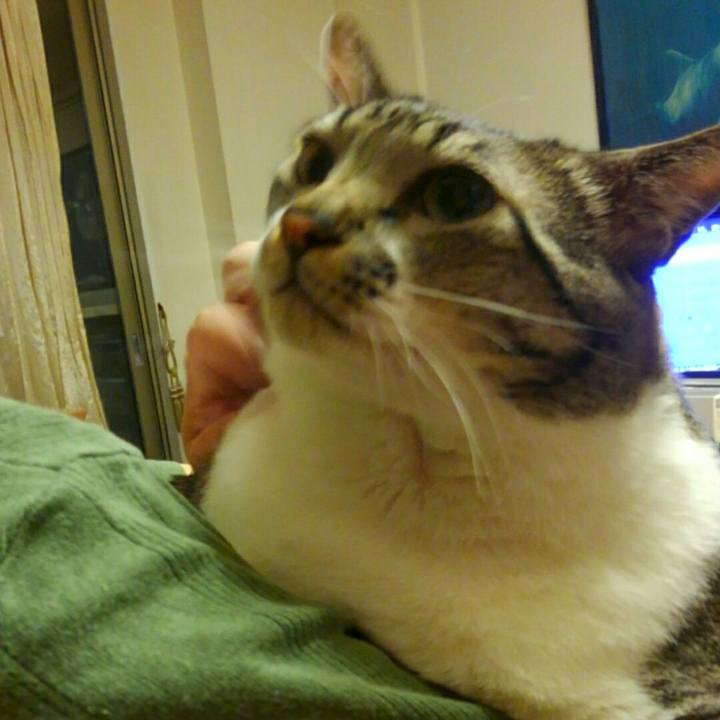 0cb8fd17 7f12 49d6 8d4f be69fce4fff4 1507939727368