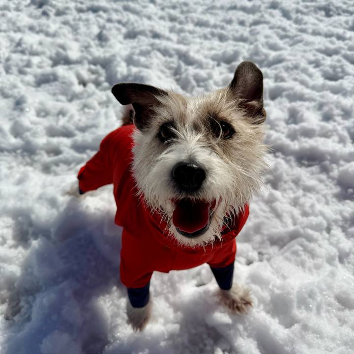 0cb914ad 1abd 444b bebc de745c2de906 1768572997079