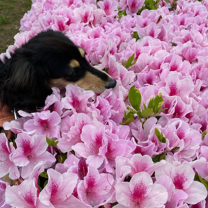 0cb918ba 1d47 426a b692 3c3b57a9bf93 1682218767696