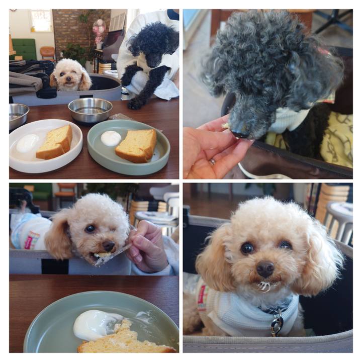 0cb92258 76b0 4026 a236 ebfda6ecbbc5 1773288123327