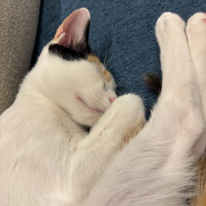 0cb93018 8467 4006 9bd1 ff09e62f824c 1759920843669