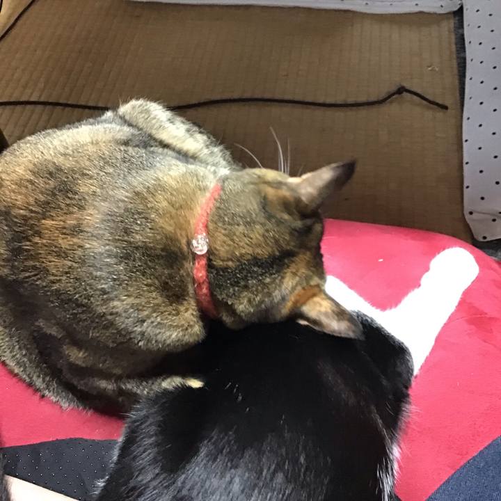 0cb98aff e080 4310 ab23 252cc8cfbe74 1630557334635