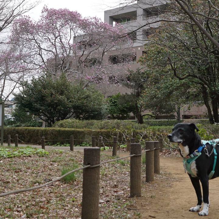 0cb9985a 3abc 43f6 8d47 1c7ea3d681b2 1773794247533