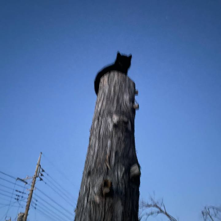 0cb9deec 2fcf 406a b07c 7ea3edf933b4 1770741752788