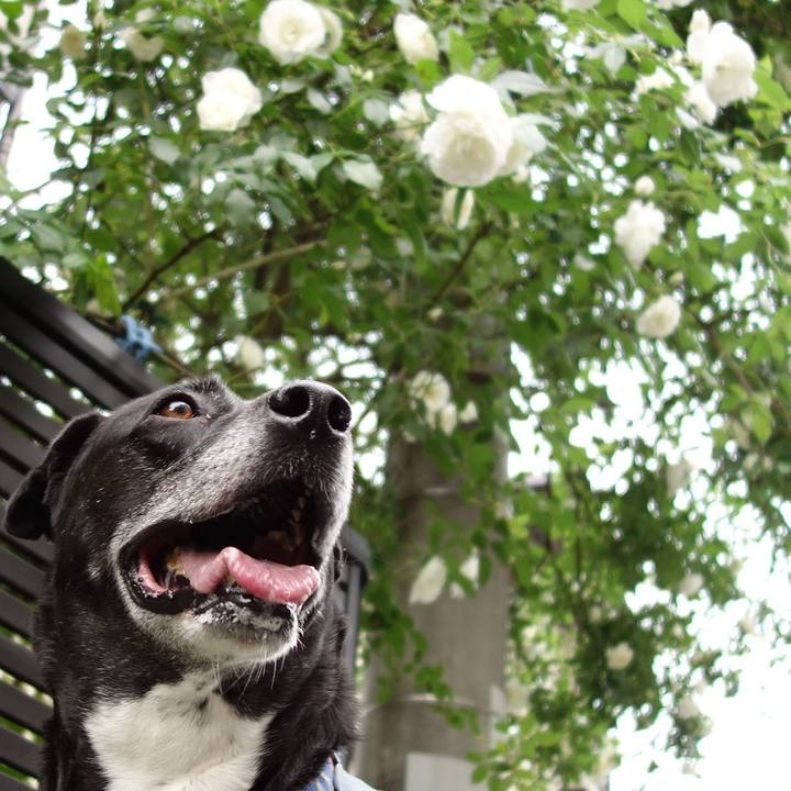 0cba06ae b912 4e07 b901 853534e92bd5 1714957180770