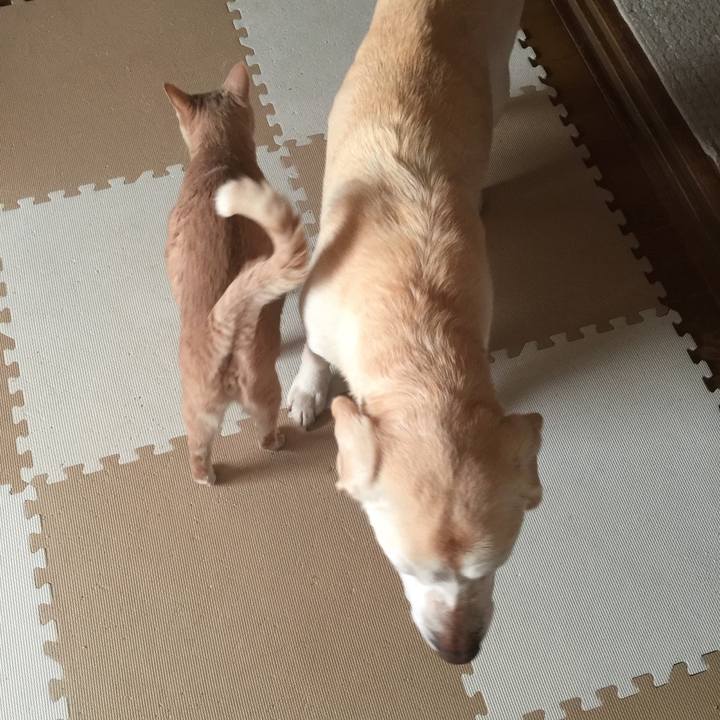 0cba0776 9558 45b9 abed 9da3854f2996 1522014338546