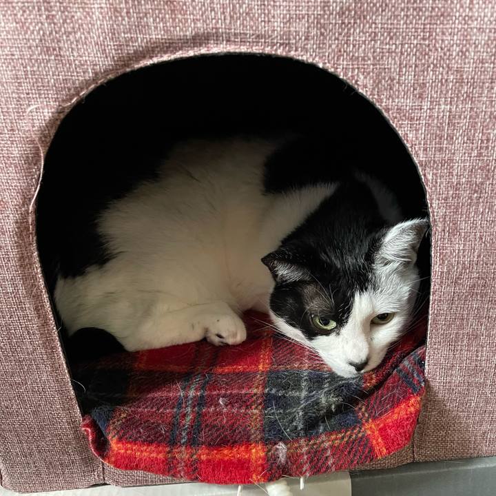 0cba0b83 3ce6 40d0 86a5 da177820c795 1763419800454