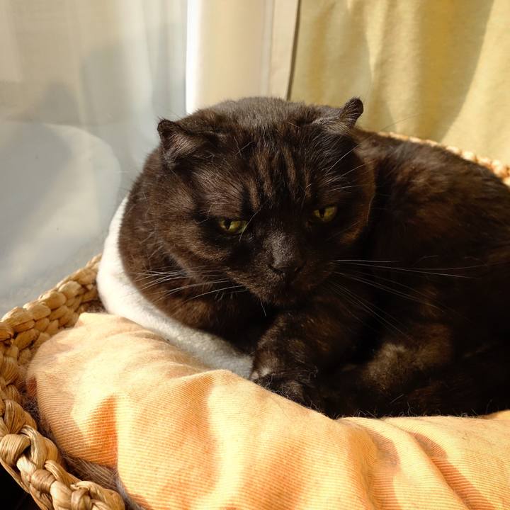 0cba1826 2fe3 4944 90bd 2eeba7cff029 1553784428490