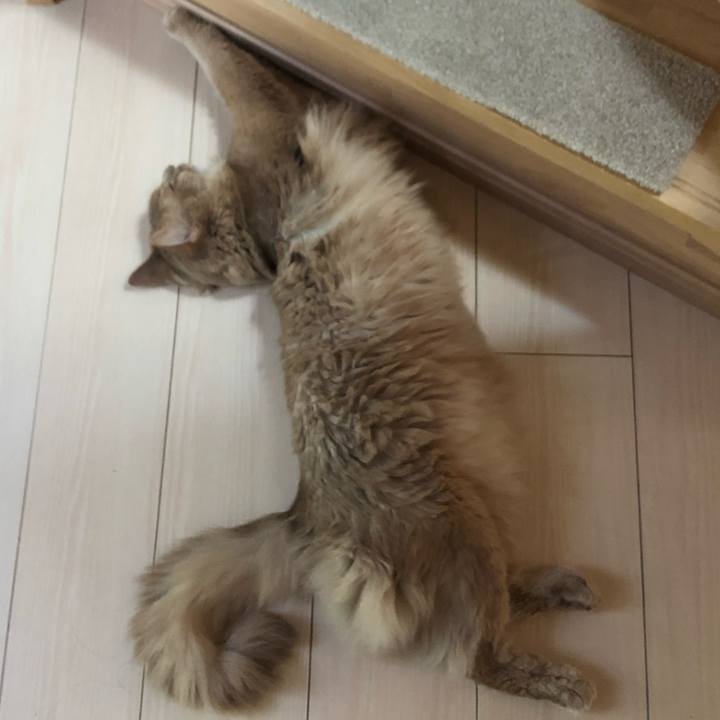 0cba391e 3130 4238 af80 dfea247ef52b 1598503636238