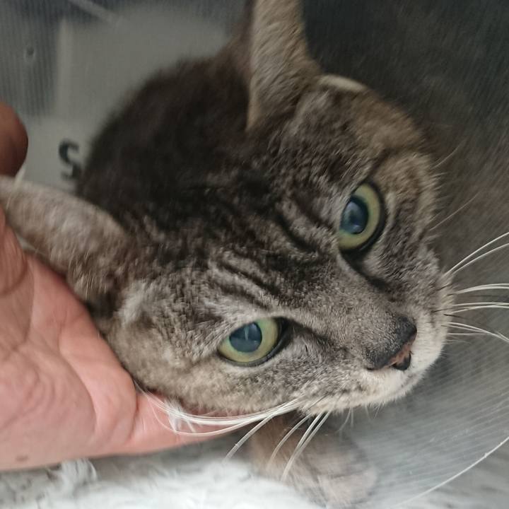 0cba3e5d cdc7 42f6 8af5 74e649c1db46 1585731169688