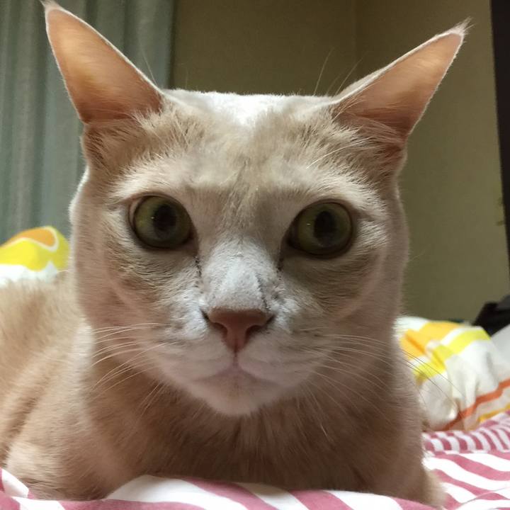 0cba55af fc34 44c3 ba50 bb05da192f71 1558385959707