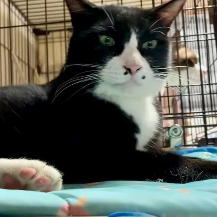 0cba57a1 30ec 4a28 8133 a2bd54b6a376 1757410861606